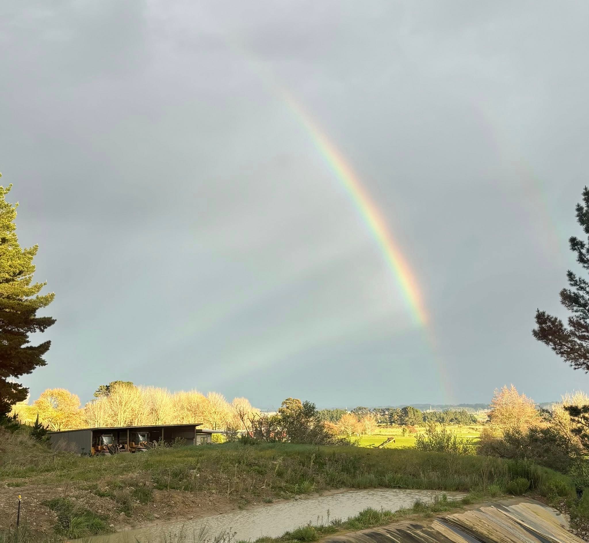 After the Rain